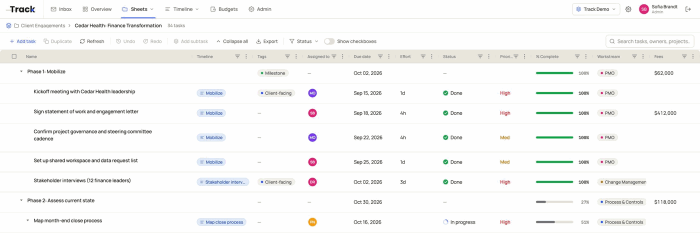 A Track sheet scrolling slowly through the Cedar Health project, pausing at each phase: tasks and subtasks with timeline links, tags, owners, due dates, effort, status, priority, % complete, workstream and fees.